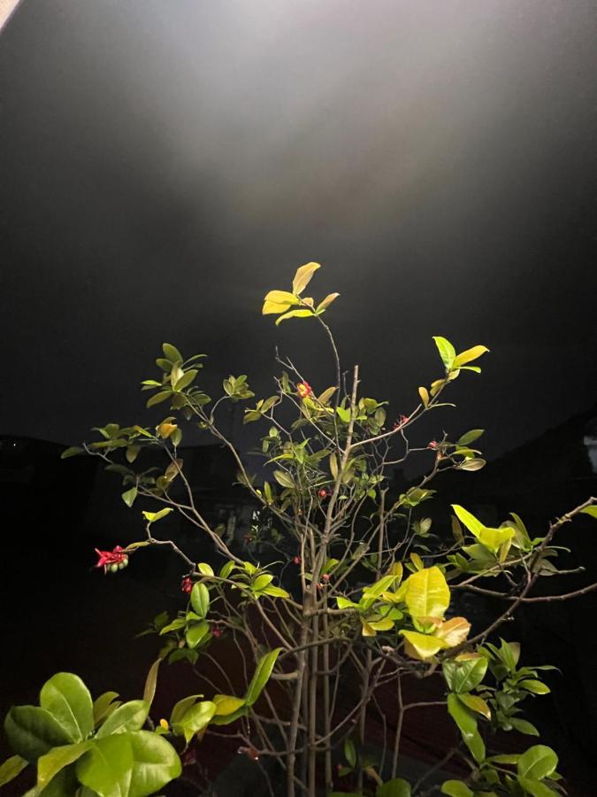 Sunflower Homestay Hai Phong Dış mekan fotoğraf