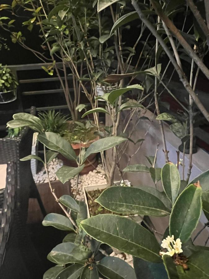 Sunflower Homestay Hai Phong Dış mekan fotoğraf